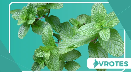 DIY cooling mist recipes