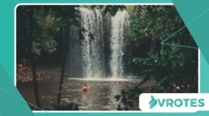 Why Forest Bathing Alters Immune Cell Activity