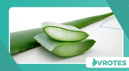 Herbal Medicine and Epigenetic Influence