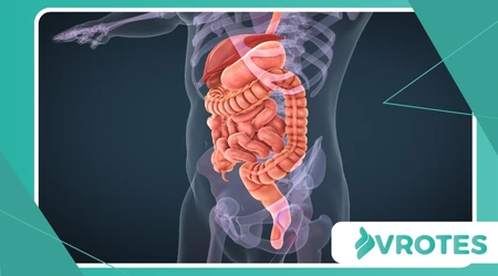 Science of “Food Combining” and Digestive Efficiency