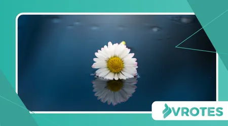 How Grief Alters Brain Neurochemistry