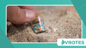 Microplastics in the Food Chain: Hidden Nutritional Concerns