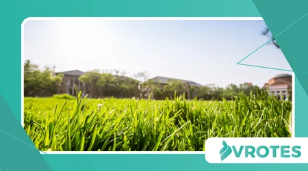 Role of Grounding Practices in Inflammation Reduction