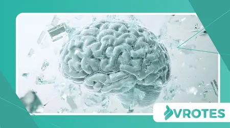 the Brain Creates Mental Shortcuts