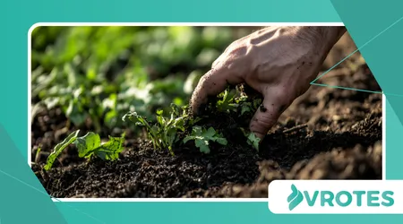 Mineral Depletion in Modern Soil and Its