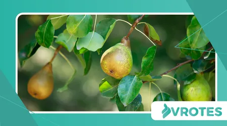 Mineral Depletion in Modern Soil and Its