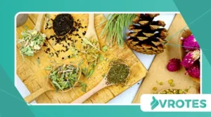 How Herbal Adaptogens Help in Stress Adaptation