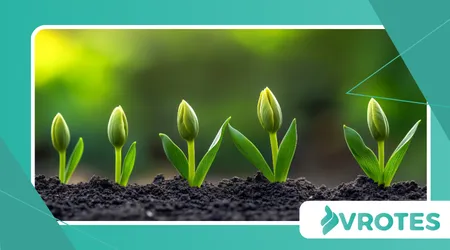 Sprouting and Fermentation