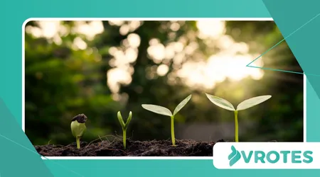 Sprouting and Fermentation