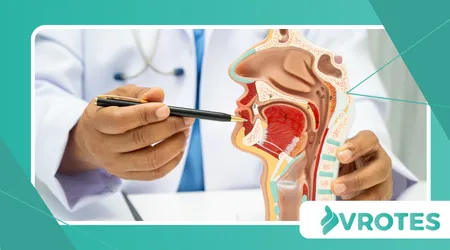 Hormones and Bone Marrow Health