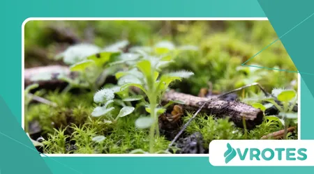 Rewild Your Diet with Forgotten Plants