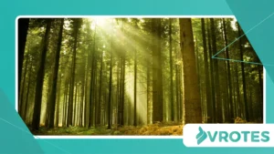 Transformative Visualization Techniques for Menopause Strength