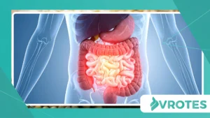 How Digestive Bitters Support Healthy Digestion Naturally