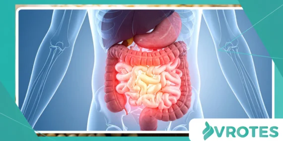 How Digestive Bitters Support Healthy Digestion Naturally