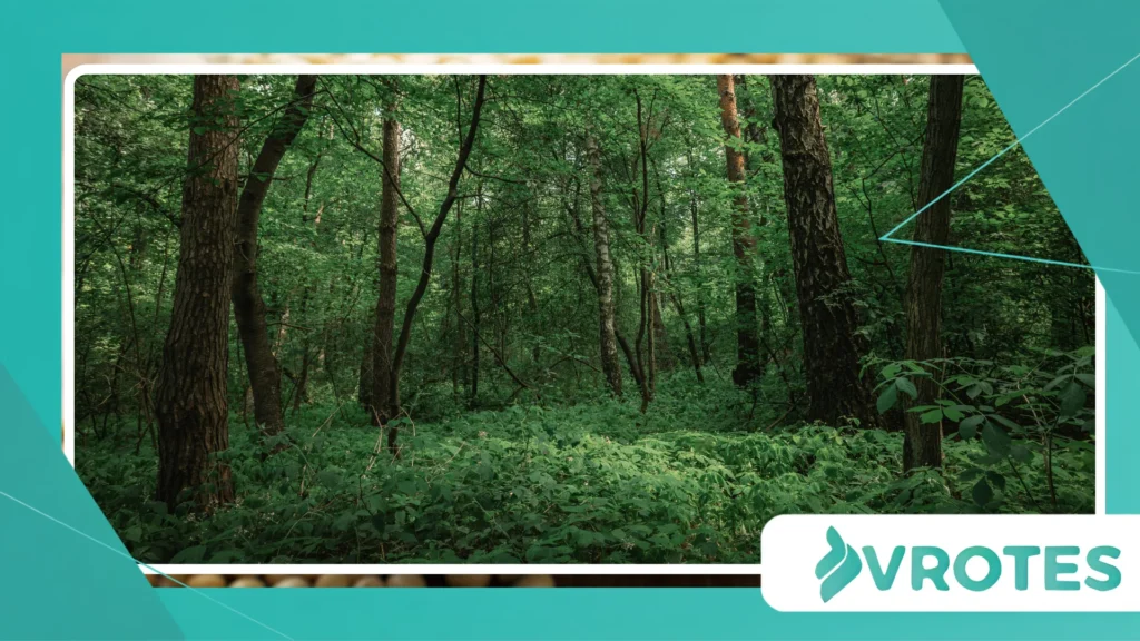 Forest Microbreaks