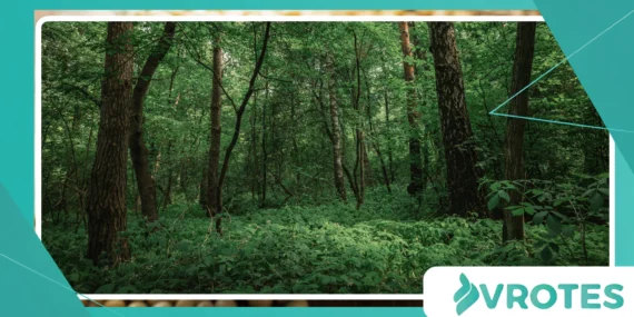 Why Forest Microbreaks Improve Daily Mental Wellness